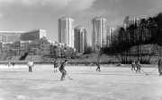 31006.JPG 31006.JPG