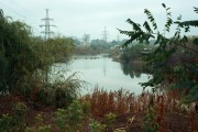 31110.jpg 31110.jpg