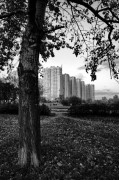 3154.jpg 3154.jpg