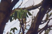 31A_000341.jpg 31A_000341.jpg