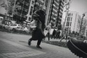 33136.JPG 33136.JPG