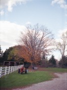 A18K_FFextra400_Oct_2013509.JPG A18K_FFextra400_Oct_2013509.JPG