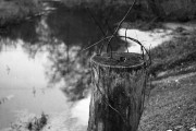 AgfaRecordIII-Solinar105mm-Fomapan200-20250106-006-1.jpg AgfaRecordIII-Solinar105mm-Fomapan200-20250106-006-1.jpg