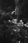 ApoLanthar85mm-Lucky-D23-20240518-020.jpg