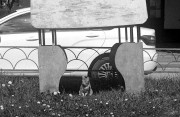 ApoLanthar85mm-Lucky-D23-20240518-031.jpg ApoLanthar85mm-Lucky-D23-20240518-031.jpg