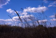 BessaRF-Helomar-Provia-20211005-003.jpg BessaRF-Helomar-Provia-20211005-003.jpg