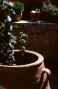 BessaRF_Helomar_105mm-019-1.jpg
