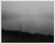 BessaT_CS25F4_HP5_1600_Agfa_Premium8x10RC_Dec_2015533.JPG BessaT_CS25F4_HP5_1600_Agfa_Premium8x10RC_Dec_2015533.JPG