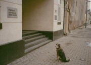 CanonDial35-20170422-022-1.jpg CanonDial35-20170422-022-1.jpg