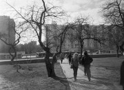 CanonDial35-Type42-D23-20240422-015.jpg