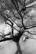 CanonP-20180428-010.jpg