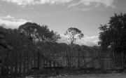 ContaxIIIa-Helios103-20220821-002.jpg ContaxIIIa-Helios103-20220821-002.jpg