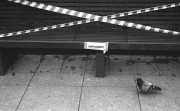 ContaxIIIa-Jupiter8-AgfaAviphot-20220422-024.jpg ContaxIIIa-Jupiter8-AgfaAviphot-20220422-024.jpg