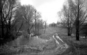 ContaxTvs_iii-20130504-013.jpg