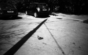 Contax_Tvs_iii-20130805-018.jpg