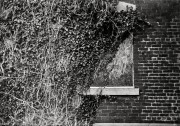 FED2_J3_KEnt400HC110B6min_8x10AgfaPremiumRC_March_2016794.JPG