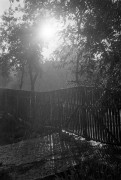 FLM201309032.jpg