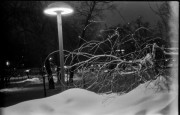 F_1200_.jpg