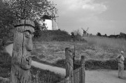Foma-Rodinal233.jpg