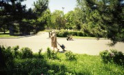 FujiWorkRecord-KodakColorPlus200-20210618-017.jpg FujiWorkRecord-KodakColorPlus200-20210618-017.jpg
