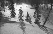 IMG00710.jpg