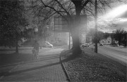 IMG00942.jpg