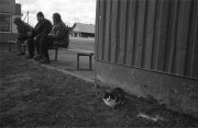 IMG01074.jpg
