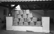 IMG01168.jpg
