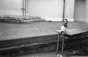 IMG01170.jpg
