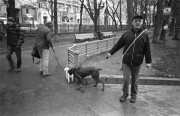 IMG013121.jpg