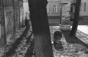 IMG016171.jpg