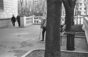 IMG017331.jpg