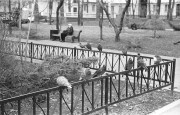IMG01734.jpg