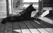 IMG01798.jpg IMG01798.jpg
