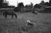 IMG01814.jpg IMG01814.jpg