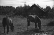 IMG01819.jpg IMG01819.jpg