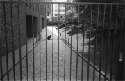 IMG01854.jpg