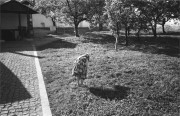 IMG018561.jpg
