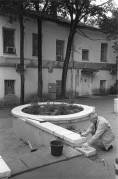 IMG02036.jpg