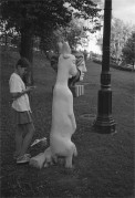 IMG021131.jpg