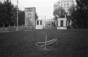 IMG021581.jpg