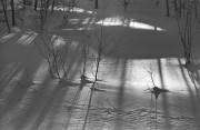 IMG02512.jpg