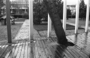 IMG03104.jpg