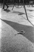 IMG03287.jpg