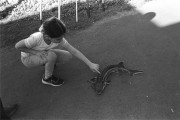 IMG03334.jpg