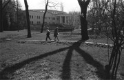 IMG03337.jpg