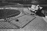 IMG03339.jpg