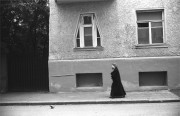 IMG03467.jpg