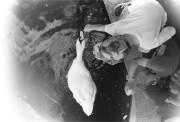 IMG03579.jpg