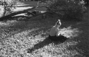 IMG035791.jpg